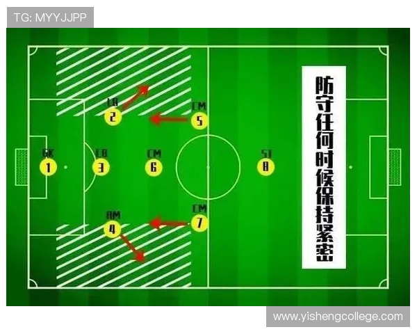 北京篮球队的速度解析与战术运用探讨如何提升球队整体竞争力